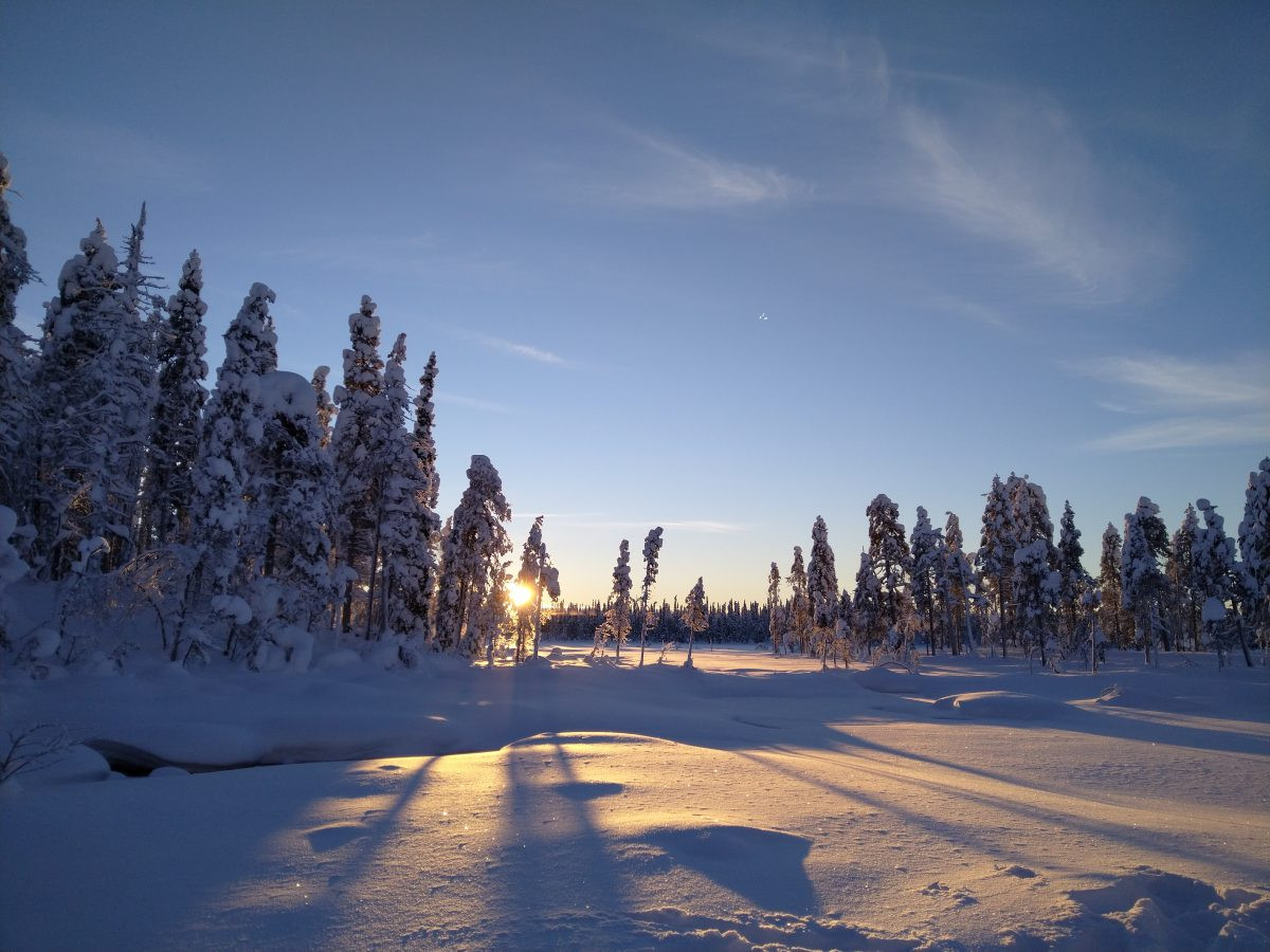 REISVERSLAG ZWEEDS LAPLAND | Volop genieten van kou, ijs en sneeuw