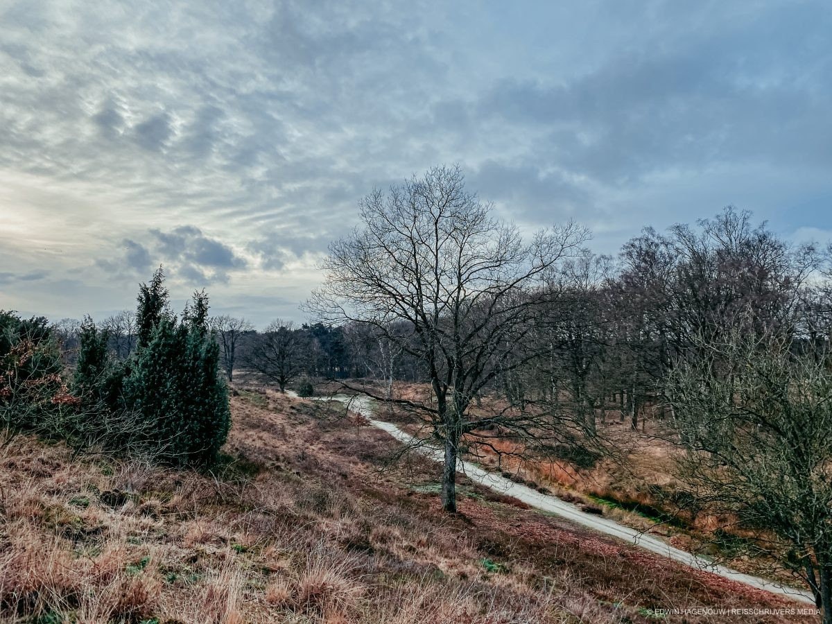 Populaire Wandelroutes Midden-Nederland | Veluwe, Veluwezoom en Maashorst